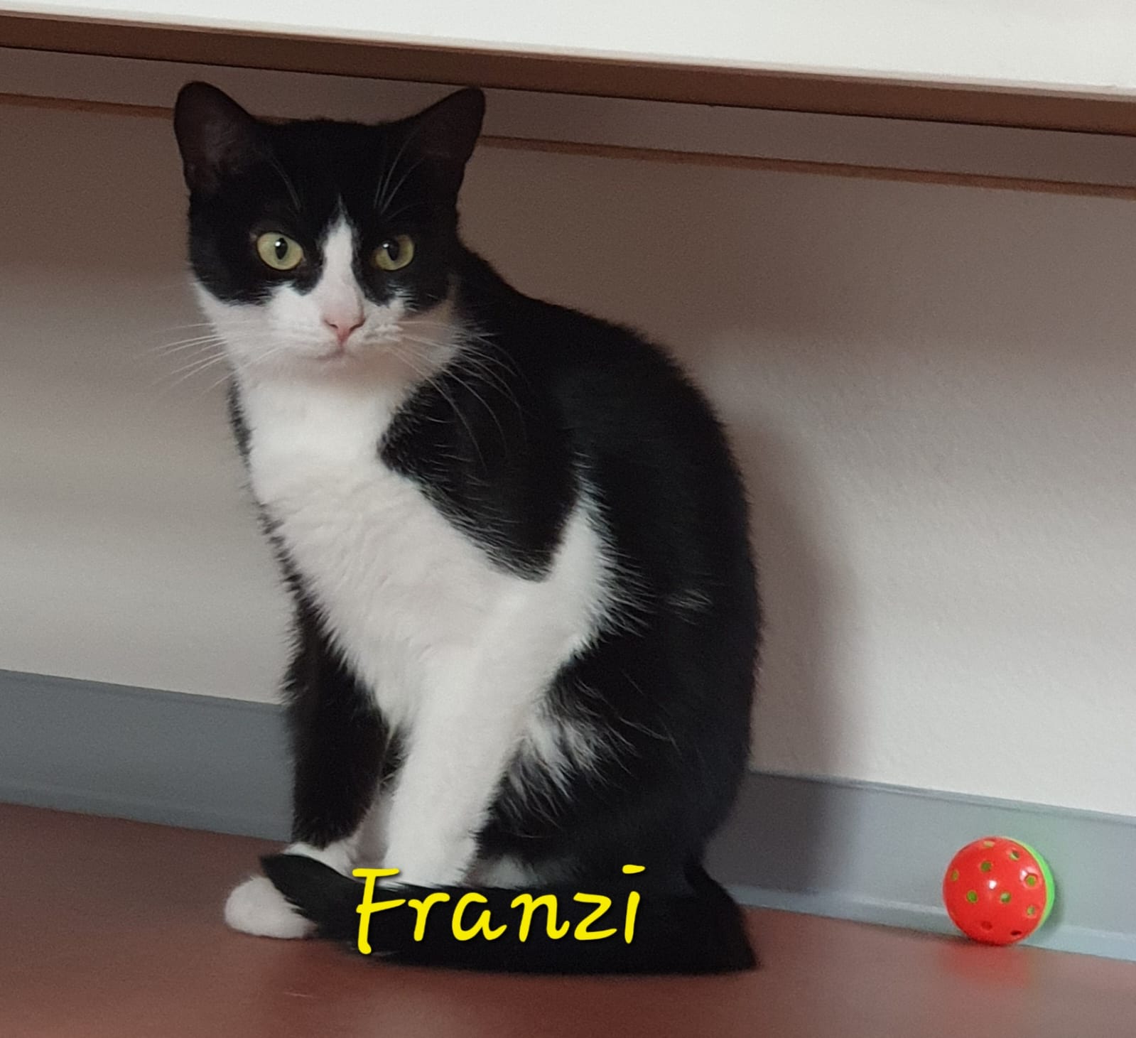 Franzi