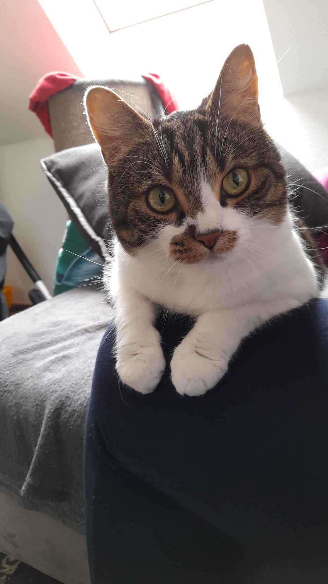 Abby